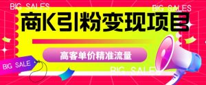 商K引粉变现项目，高客单价精准流量【揭秘】-网创资源吧