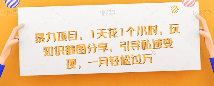 暴力项目，1天花1个小时，玩知识截图分享，引导私域变现，一月轻松过万【截图】-网创资源吧