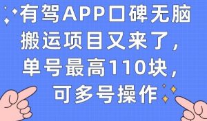 有驾APP口碑无脑搬运项目又来了，单号最高110块，可多号操作-网创资源吧