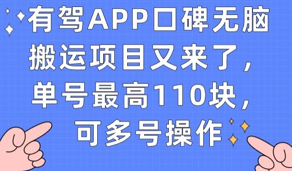 有驾APP口碑无脑搬运项目又来了，单号最高110块，可多号操作-网创资源吧