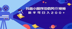 抖音小程序挂载风行视频,新手可日入200+-网创资源吧