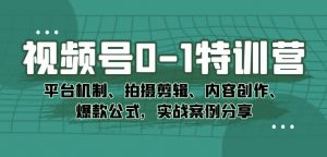 视频号0-1特训营:平台机制、拍摄剪辑、内容创作、爆款公式,实战案例分享-网创资源吧