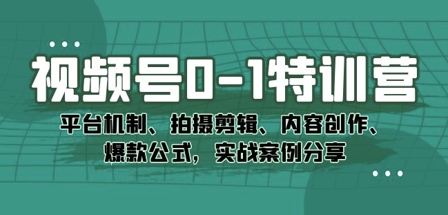 视频号0-1特训营：平台机制、拍摄剪辑、内容创作、爆款公式，实战案例分享-网创资源吧