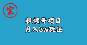 宝哥视频号无货源带货视频月入3w，详细复盘拆解-网创资源吧