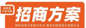 王昕招商方案,解构招商方案意识形态,精准把握渠道代理基本法-网创资源吧
