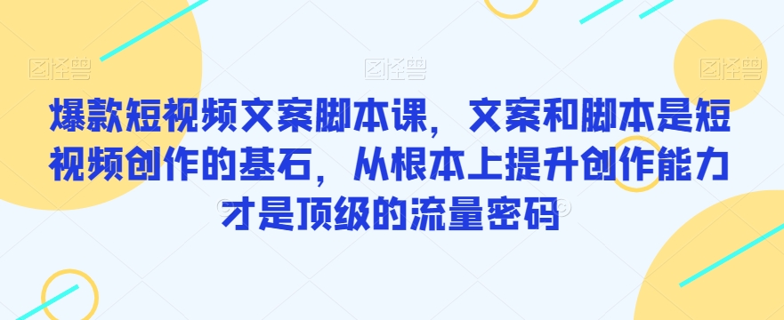 爆款短视频文案脚本课，文案和脚本是短视频创作的基石，从根本上提升创作能力才是顶级的流量密码-网创资源吧