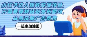 小红书达人矩阵变现项目,只需要复制粘贴发布即可,从而获取广告费用-网创资源吧