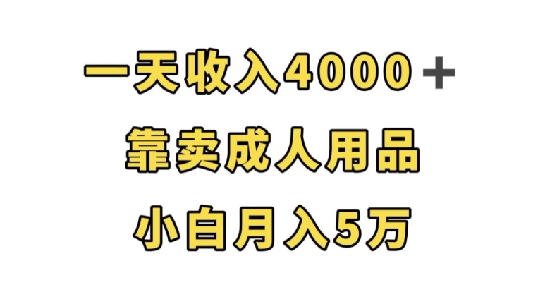 一天收入4000+，靠卖成人用品，小白轻松月入5万【揭秘】-网创资源吧