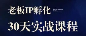 诸葛·2023老板IP实战课，实体同城引流获客，IP孵化必听-网创资源吧