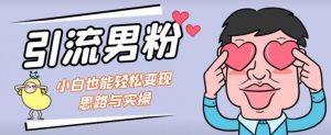 引流男粉+小白也能暴力变现的思路与实操【揭秘】-网创资源吧