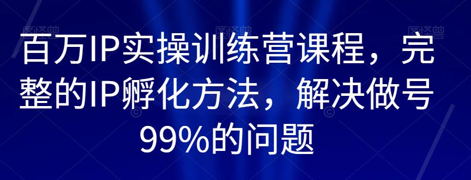 百万IP实操训练营课程，完整的IP孵化方法，解决做号99%的问题-网创资源吧