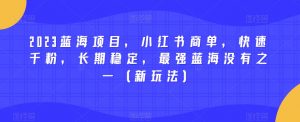2023蓝海项目，小红书商单，快速千粉，长期稳定，最强蓝海没有之一（新玩法）-网创资源吧