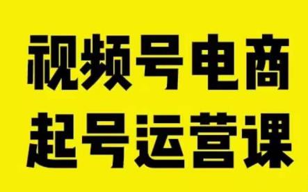 视频号电商起号运营课，教新人如何自然流起号，助力商家0-1突破-网创资源吧