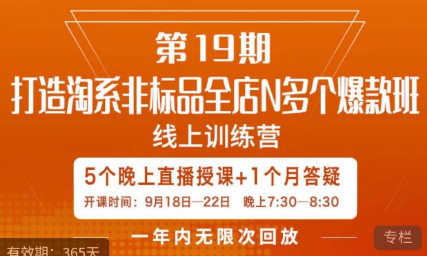 打造淘系非标全店N多个爆款线上课，​5天直播课-网创资源吧