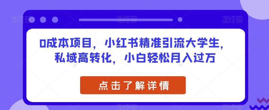 0成本项目，小红书精准引流大学生，私域高转化，小白轻松月入过万【揭秘】-网创资源吧