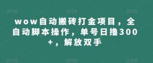 wow自动搬砖打金项目,全自动脚本操作,单号日撸300+,解放双手【揭秘】-网创资源吧