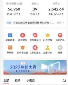 全新蓝海,西瓜视频流量掘金项目,简单上手适合0基础小白,暴力玩法日入500+【揭秘】-网创资源吧