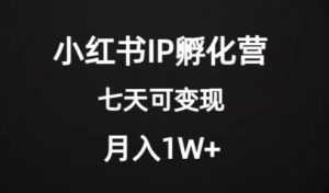 价值2000+的小红书IP孵化营项目，超级大蓝海，七天即可开始变现，稳定月入1W+-网创资源吧