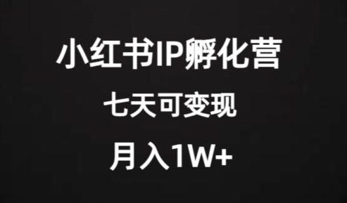 价值2000+的小红书IP孵化营项目，超级大蓝海，七天即可开始变现，稳定月入1W+-网创资源吧