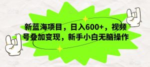 新蓝海项目,日入600+,视频号叠加变现,新手小白无脑操作【揭秘】-网创资源吧