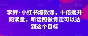 李鲆·小红书爆款课，十倍提升阅读量，听话照做肯定可以达到这个目标-网创资源吧