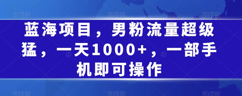 蓝海项目，男粉流量超级猛，一天1000+，一部手机即可操作【揭秘】-网创资源吧