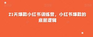 21天爆款小红书训练营,小红书爆款的底层逻辑-网创资源吧