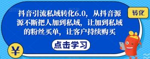 抖音引流私域转化6.0,从抖音源源不断把人加到私域,让加到私域的粉丝买单,让客户持续购买-网创资源吧