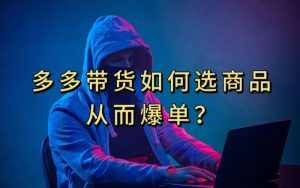 多多视频带货选什么商品链接才能爆单，10分钟教会你，爆单不是浮云【揭秘】-网创资源吧