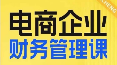 电商企业财务管理线上课，为电商企业规划财税-网创资源吧
