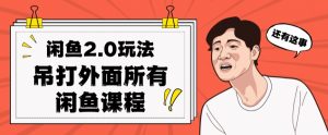 闲鱼2.0玩法单号每天日入2000，吊打市面所有课程-网创资源吧