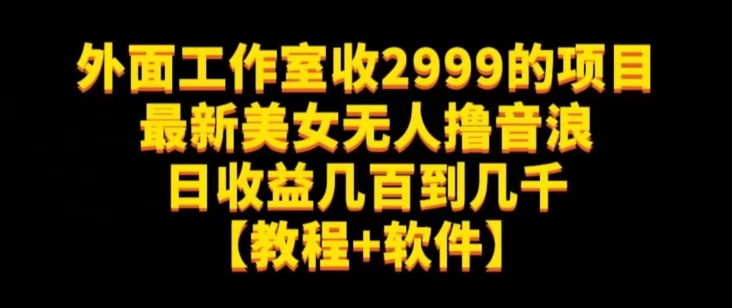 外面工作室收2999的项目最新美女无人撸音浪日收益几百到几千【教程+软件】（仅揭秘）-网创资源吧