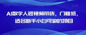 AI数字人短视频带货,门槛低,适合新手小白可做的项目-网创资源吧