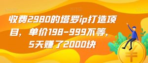 收费2980的塔罗ip打造项目,单价198-999不等,5天赚了2000块【揭秘】-网创资源吧