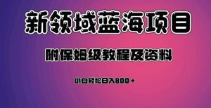 虚拟资源蓝海领域新项目，轻松日入800＋，附保姆级教程及资料-网创资源吧