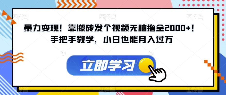 暴力变现！靠搬砖发个视频无脑撸金2000+！手把手教学，小白也能月入过万【揭秘】-网创资源吧