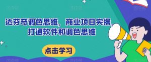 达芬奇调色思维,商业项目实操,打通软件和调色思维-网创资源吧