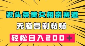 微头条冷门美女相亲赛道，无脑复制粘贴，轻松日入200＋【揭秘】-网创资源吧