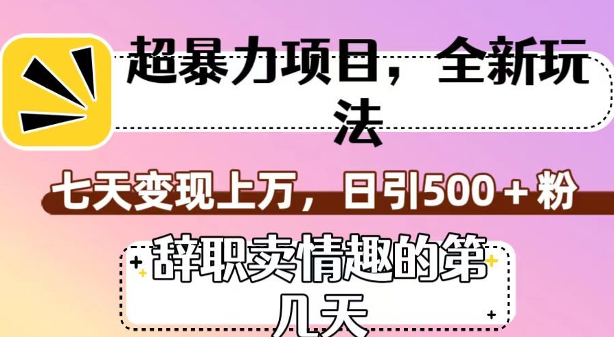 超暴利项目，全新玩法（辞职卖情趣的第几天），七天变现上万，日引500+粉【揭秘】-网创资源吧