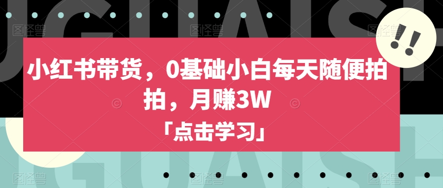 小红书带货，0基础小白每天随便拍拍，月赚3W【揭秘】-网创资源吧