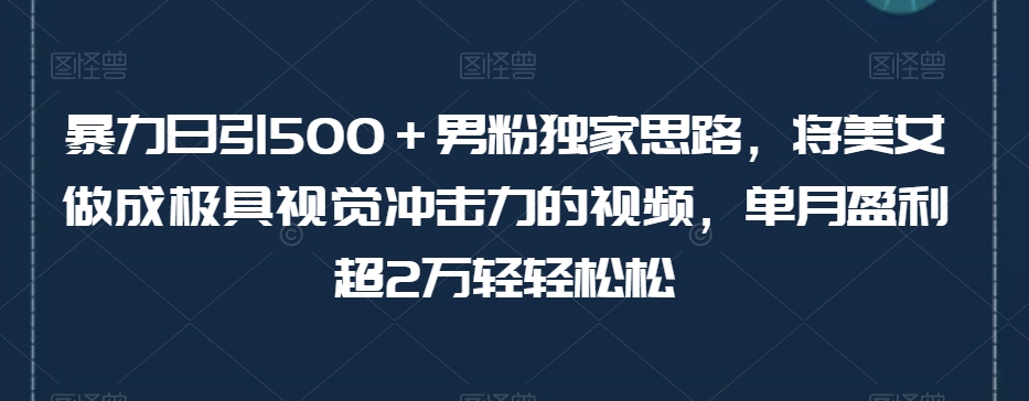 暴力日引500＋男粉独家思路，将美女做成极具视觉冲击力的视频，单月盈利超2万轻轻松松-网创资源吧