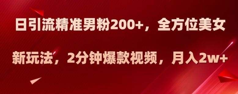 日引流精准男粉200+，全方位美女新玩法，2分钟爆款视频，月入2w+【揭秘】-网创资源吧
