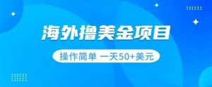 撸美金项目无门槛操作简单小白一天50+美刀-网创资源吧