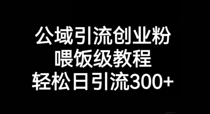 公域引流创业粉，喂饭级教程，轻松日引流300+【揭秘】-网创资源吧