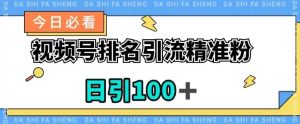视频号引流精准粉，日引100+，流量爆炸【揭秘】-网创资源吧