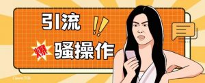 最新引流骚操作,单账号日引50-100,简单粗暴,适合于小白各行各业都可以进行操作,精准粉丝加到爆-网创资源吧