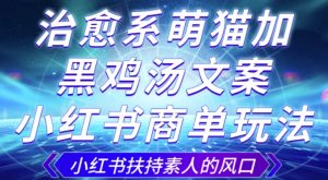 治愈系萌猫加+黑鸡汤文案,小红书商单玩法,3~10天涨到1000粉,一单200左右-网创资源吧