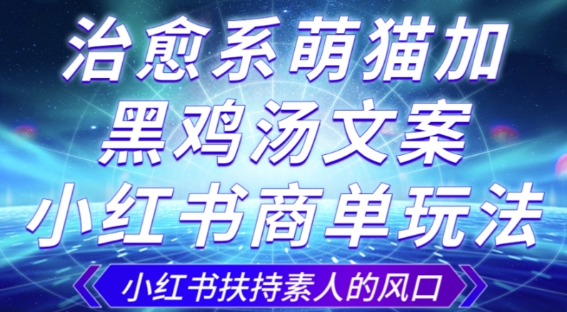 治愈系萌猫加+黑鸡汤文案，小红书商单玩法，3~10天涨到1000粉，一单200左右-网创资源吧