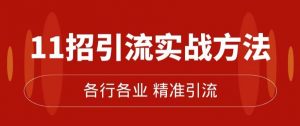 精准引流术:11招引流实战方法,让你私域流量加到爆(11节课完整)-网创资源吧