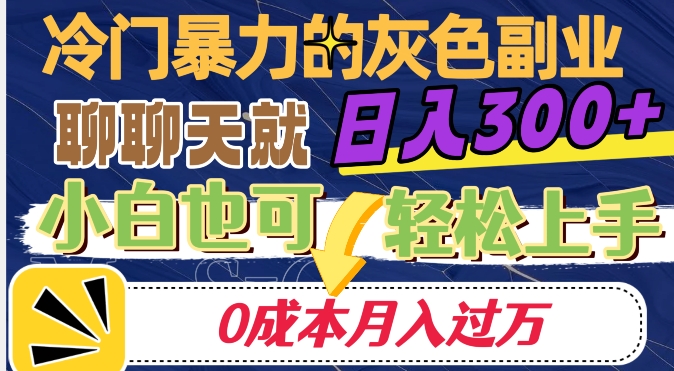 冷门暴利的副业项目，聊聊天就能日入300+，0成本月入过万【揭秘】-网创资源吧